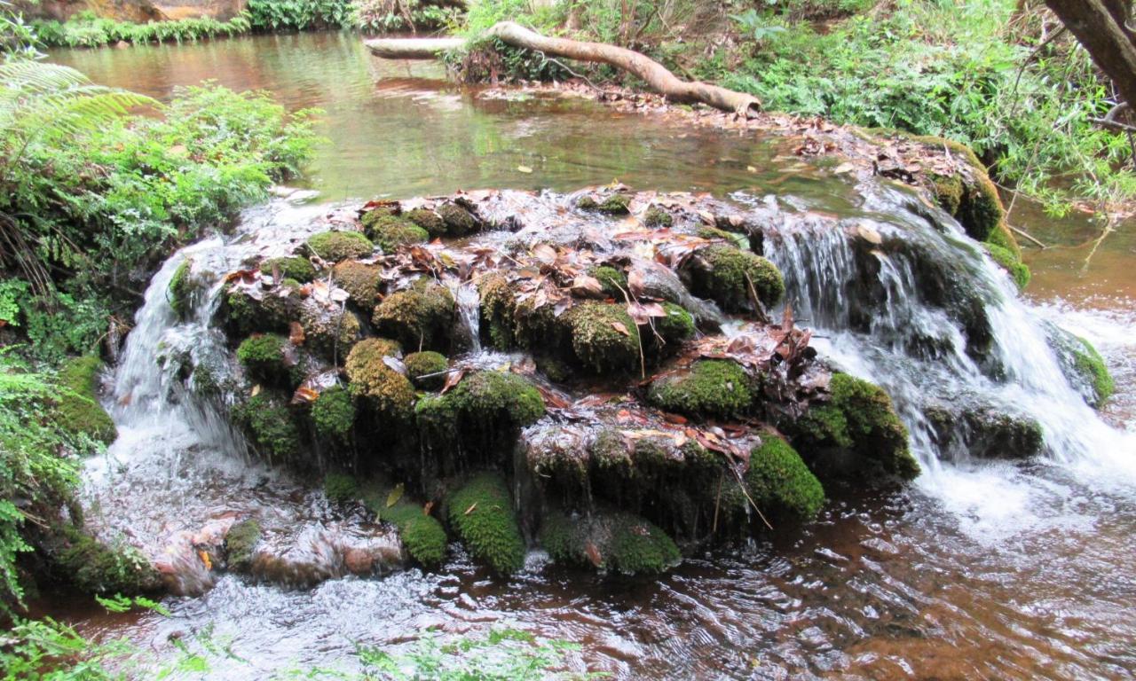 Sabie Self Catering Apartments Kültér fotó
